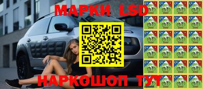 дживик Донской