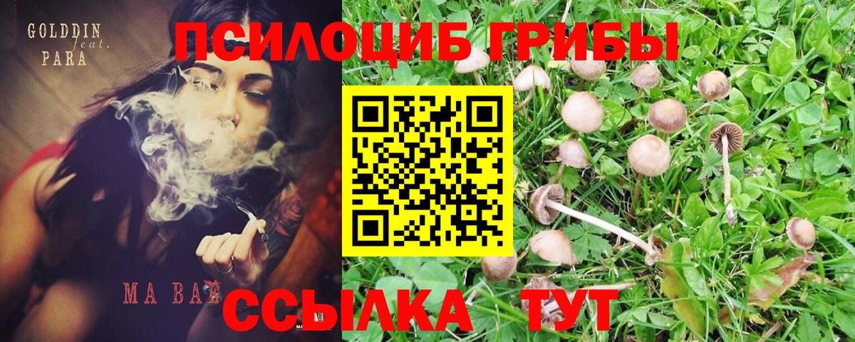 Псилоцибиновые грибы Magic Shrooms  Вход с VPN  Кореновск 